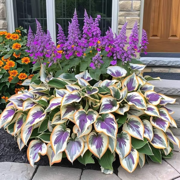 🌿Premium Rare Hosta Seeds 💥50% Off Today Only