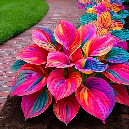 🌿Premium Rare Hosta Seeds 💥50% Off Today Only