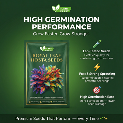 🌿Premium Rare Hosta Seeds 💥50% Off Today Only