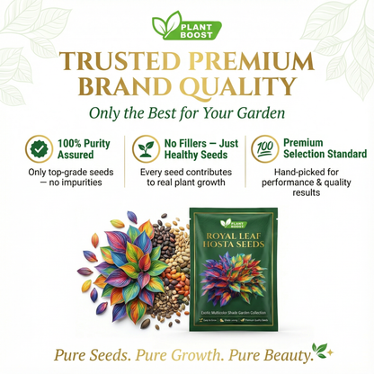 🌿Premium Rare Hosta Seeds 💥50% Off Today Only